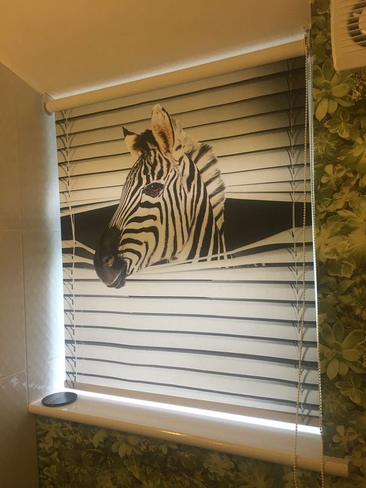 Printed Zebra Blinds